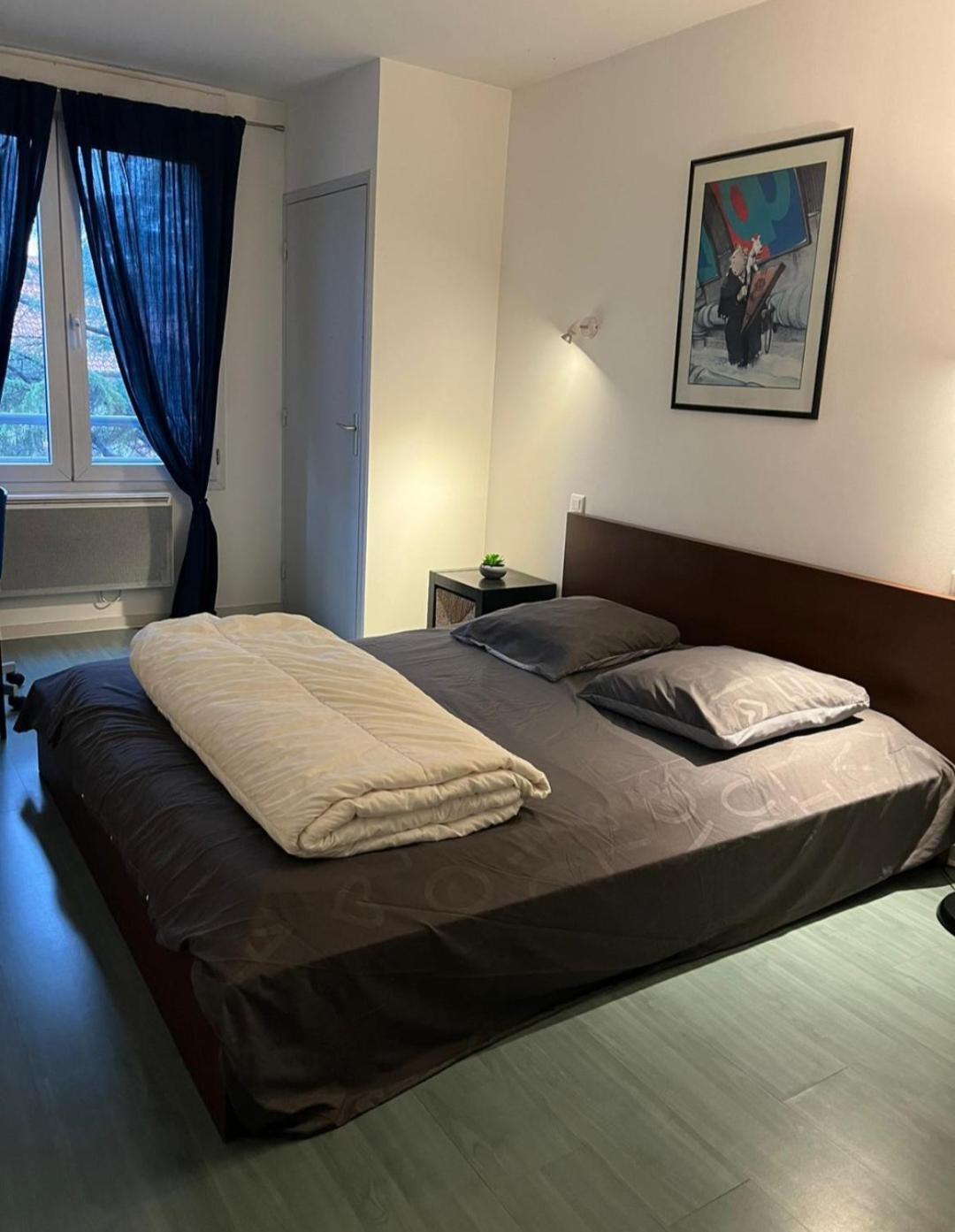 Appartamento 115 Rue Vauban Lione Esterno foto
